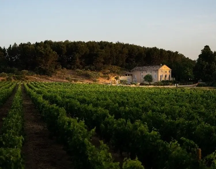 Châteauneuf-du-Pape Les Chorégies - 2022 - Clos de l'Oratoire des Papes
