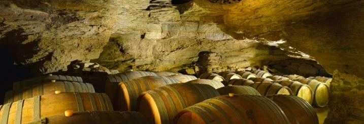 Terrasses du Larzac - 2022 - Les Vignes Oubliées