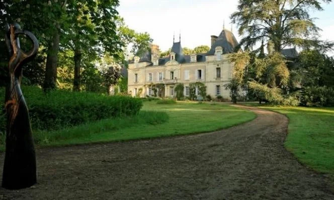 Savennières Clos du Papillon - 2020 - Domaine du Closel
