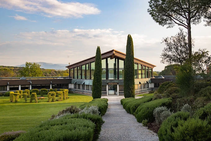 Bolgheri Superiore La Tensione - 2016 - Ornellaia