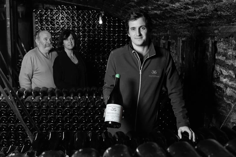 Beaune rouge 1er Cru Clos des Mouches - 2016 - Domaine Thierry Violot-Guillemard