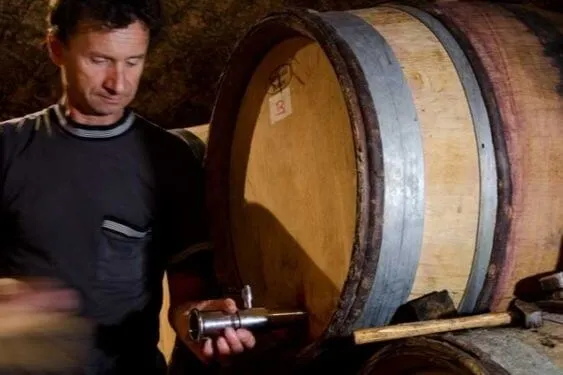 Gevrey-Chambertin Les Seuvrées - 2018 - Domaine Hubert Lignier