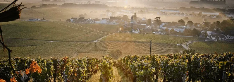 Gevrey-Chambertin - 2021 - Méo-Camuzet Frère & Sœurs