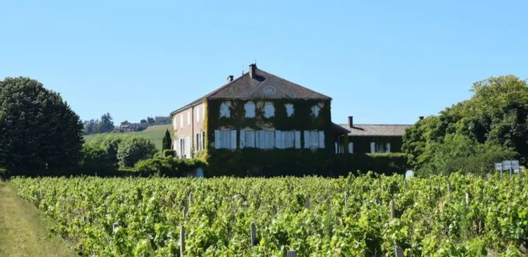 Fleurie Le Clos des Bachelards Monopole - 2018 - Château des Bachelards