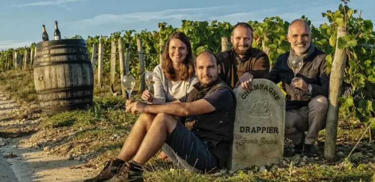 Champagne Brut Nature Blanc de Noirs sans soufre - B22 - Champagne André et Michel Drappier