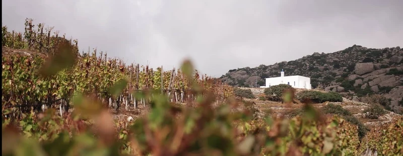 Clos Stegasta Assyrtiko Rare - 2024 - Domaine T-Oinos