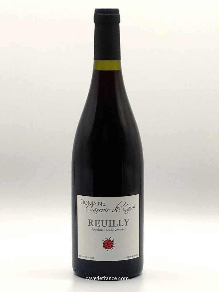 Reuilly rouge - Domaine Carroir du Gué 2022