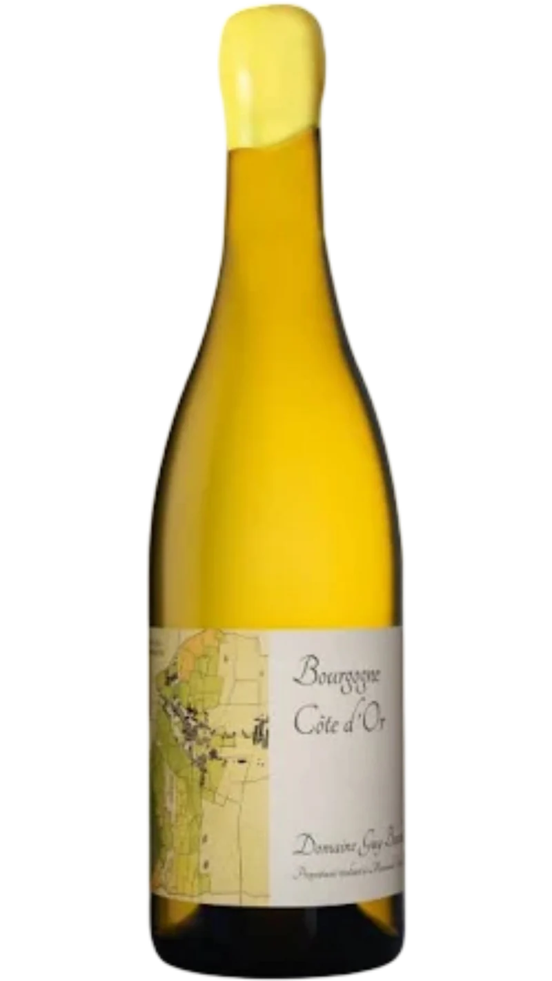 Bourgogne Côte d'Or - 2024 - Domaine Guy Bocard