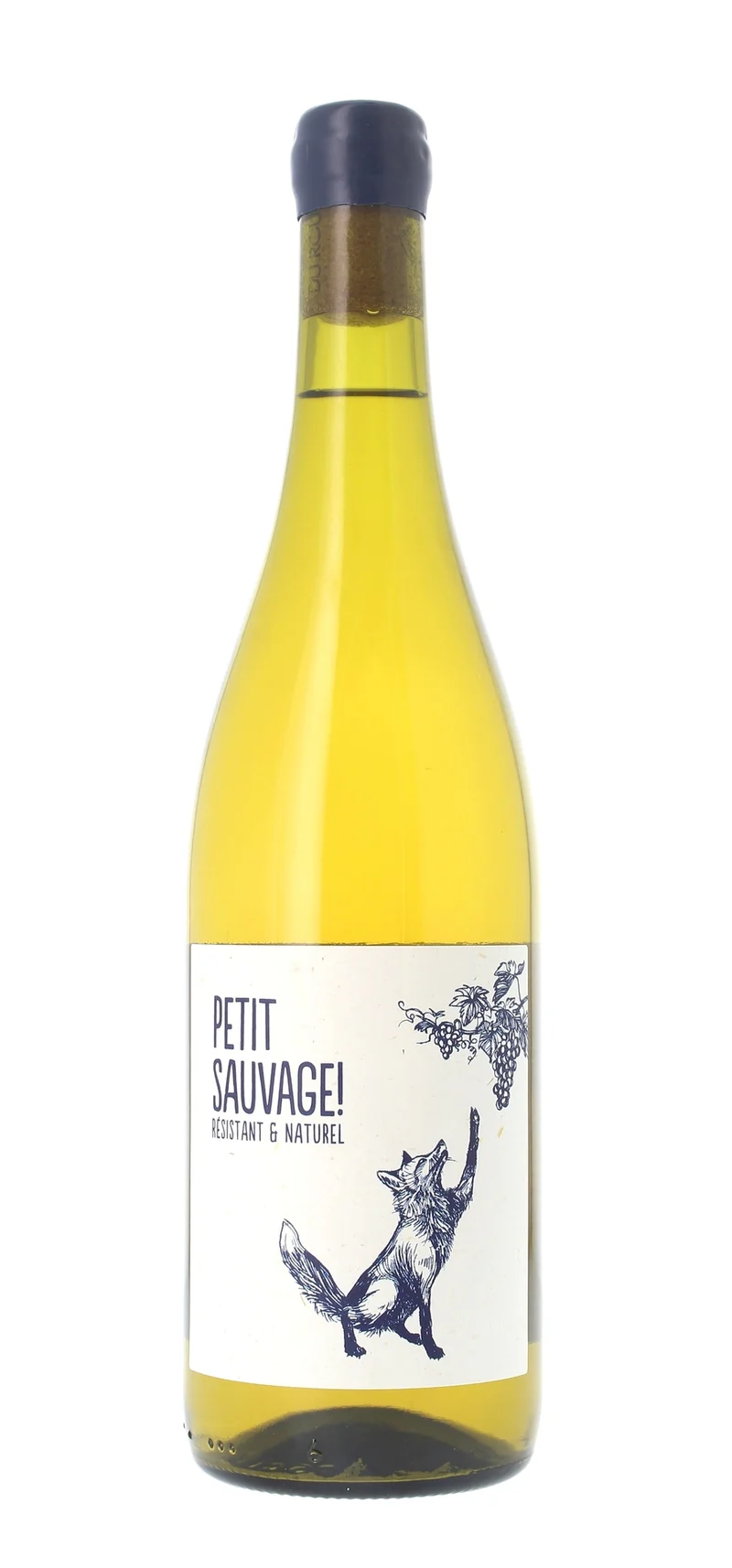 Pierre & Antonin - Petit Sauvage ! - Vin de France - Blanc - 2024