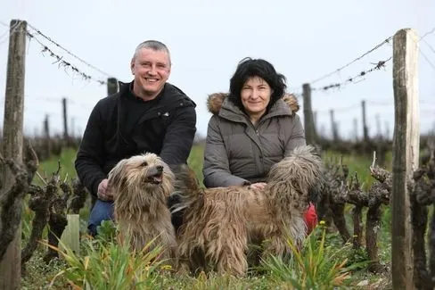 Vin de France Les Argiles - 2023 - Domaine François Chidaine