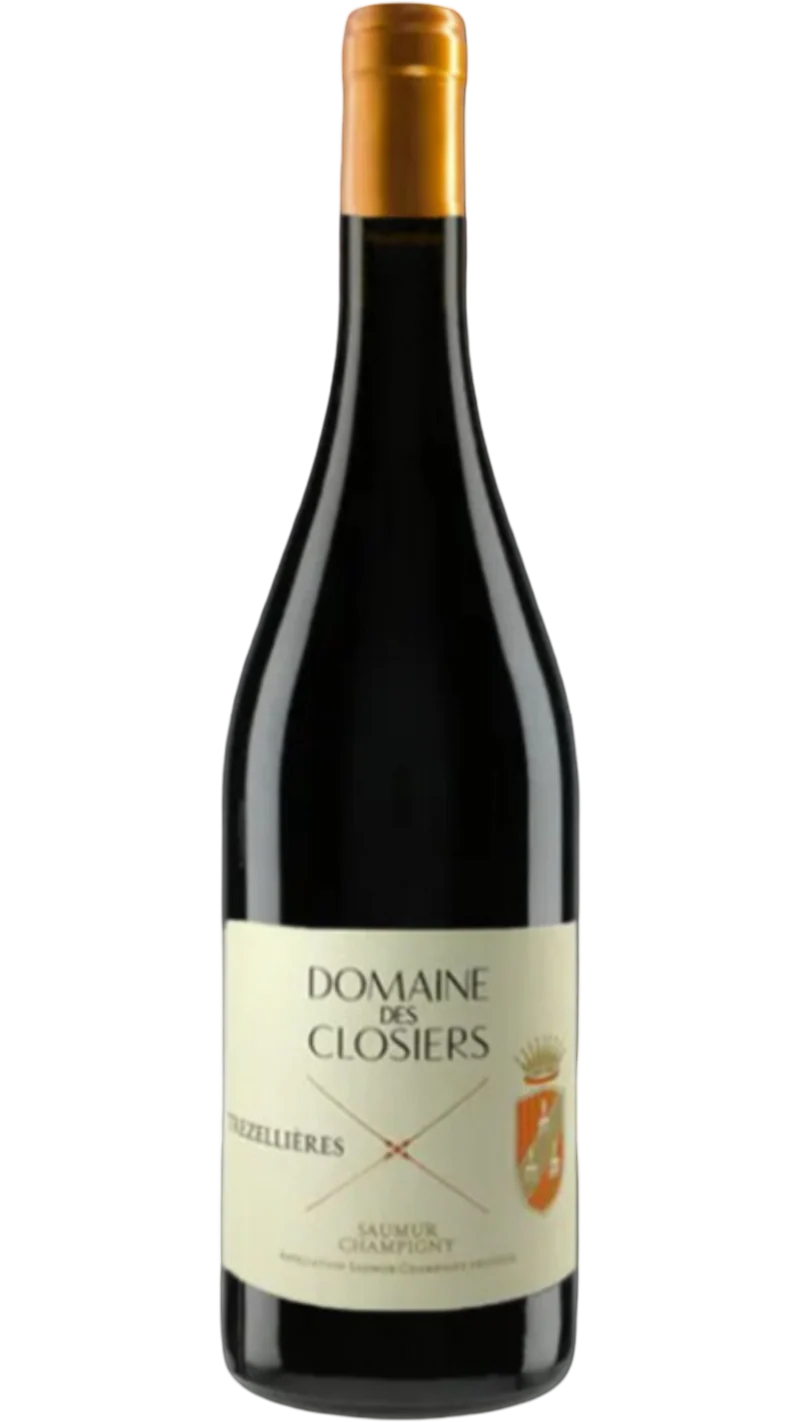 Magnum Saumur-Champigny Trezellières - 2020 - Domaine des Closiers