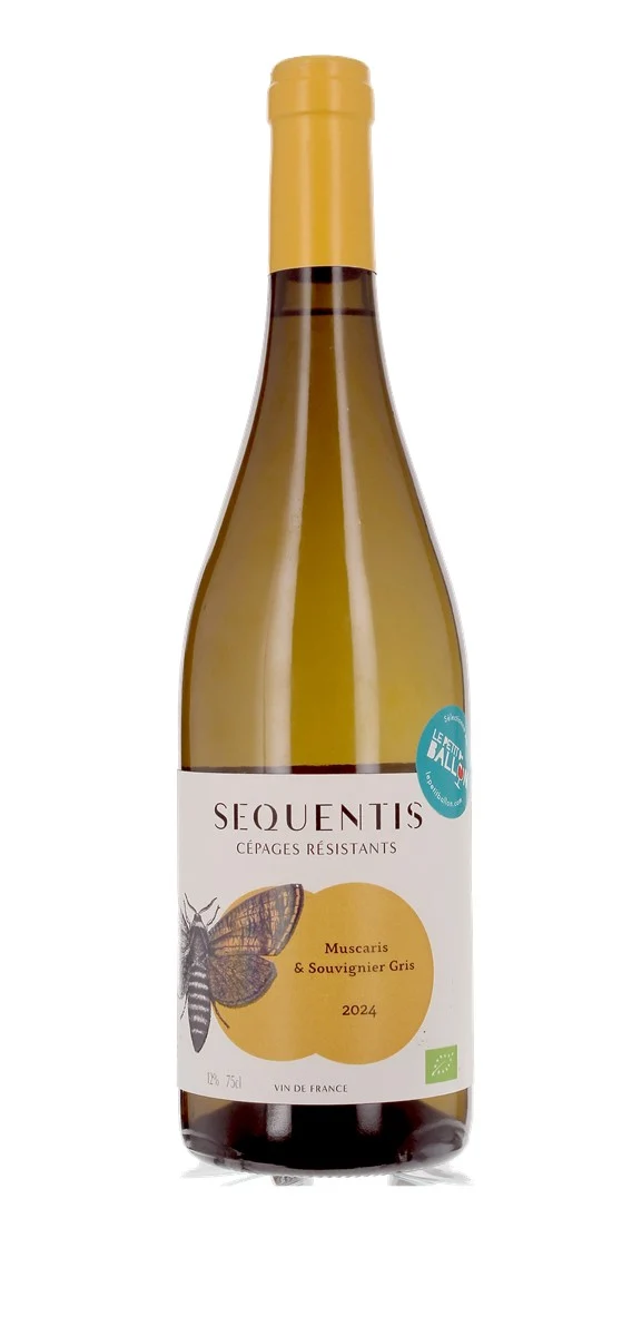 Sequentis - Blanc - Vin de France - Blanc - 2024