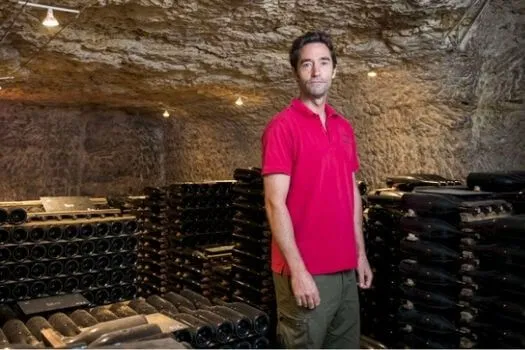 Vin de France Venise Cuvée Parcellaire Monopole - 2024 - Domaine de la Taille aux Loups