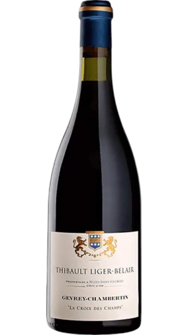 Gevrey-Chambertin La Croix des Champs - 2023 - Domaine Thibault Liger-Belair