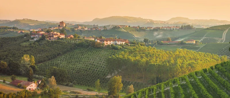 Magnum Barolo Arione - 2022 - Domaine Giacomo Conterno