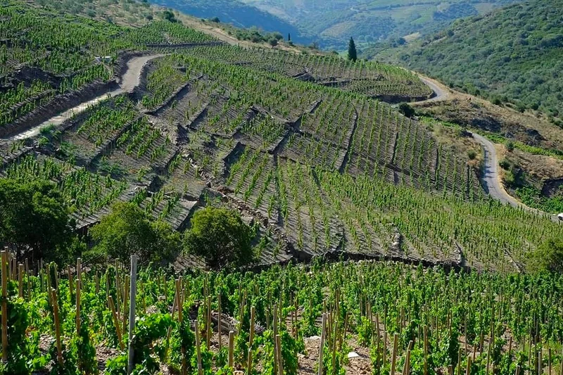 Collioure L'Âme coffret bois - 2023 - Clos Saint Sébastien
