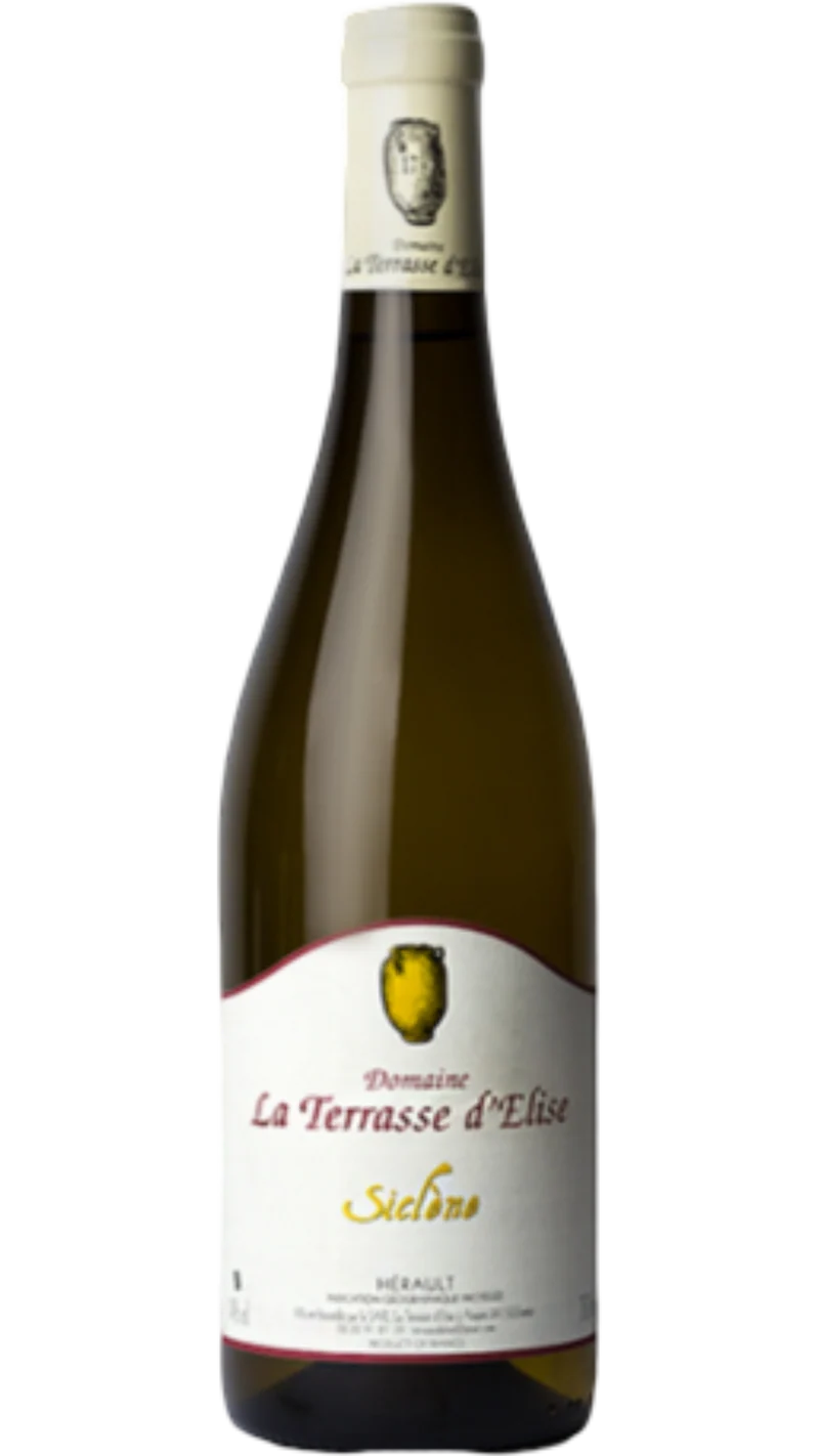 Pays d'Hérault Siclène - 2024 - Domaine La Terrasse d'Elise