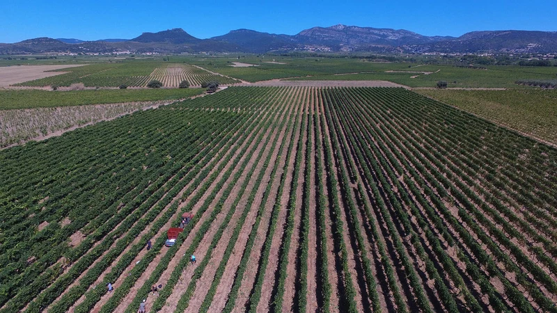 Terrasses du Larzac Les Gravettes - 2023 - Clos de la Barthassade