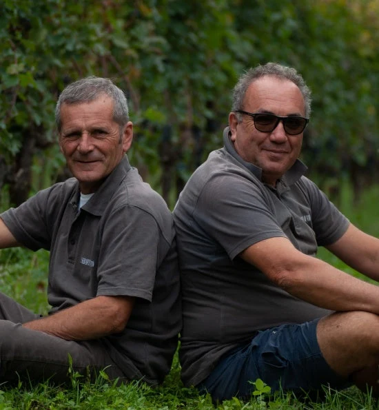 Magnum Montello e Colli Asolani Phigaia - 2021 - Serafini & Vidotto