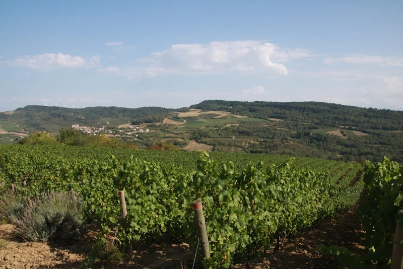 Limoux Mauzaïc - 2021 - Domaine de Mouscaillo