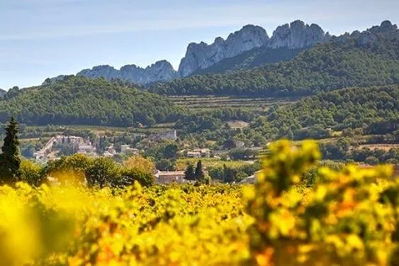 Gigondas Clos Derrière Vieille - 2021 - Domaine Santa Duc