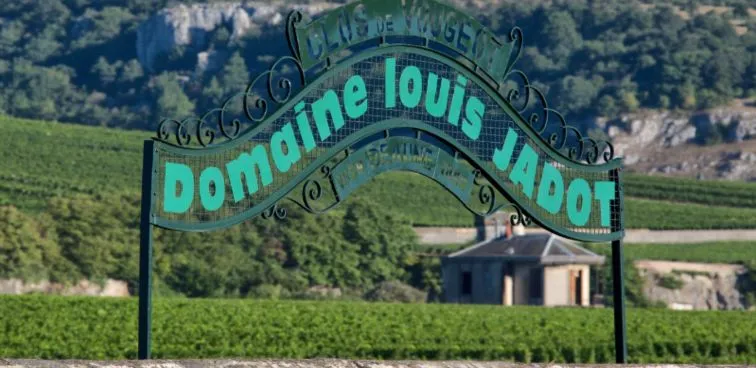 Corton-Pougets Grand Cru - 2018 - Maison Louis Jadot