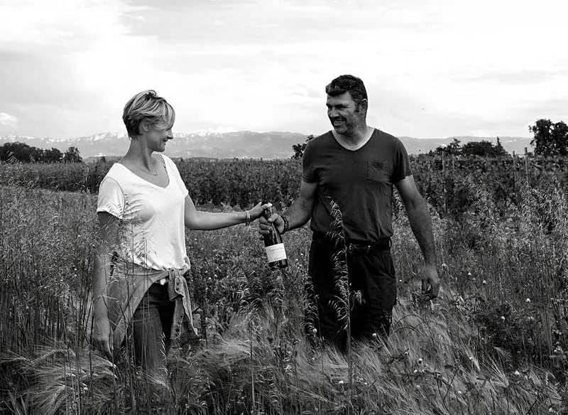 Crozes-Hermitage Malgrès Tout - 2020 - Domaine de la Ville Rouge