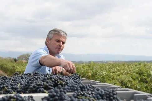 Crozes-Hermitage Cuvée L - 2014 - Domaine Combier