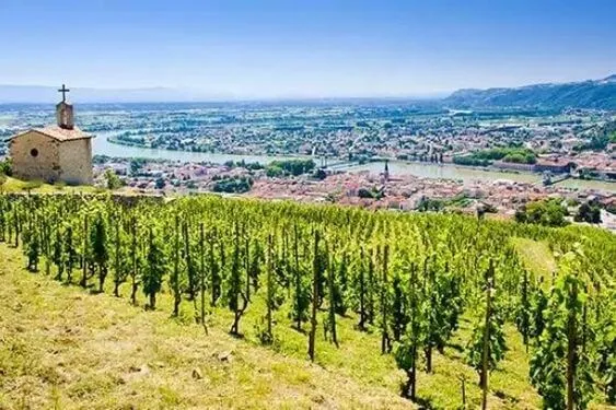 Crozes-Hermitage - 2020 - Domaine Alain Graillot