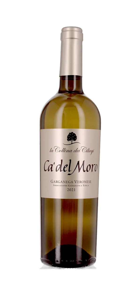 La Collina Dei Ciliegi - Ca Del Moro - IGT Garganega Veronese - Blanc - 2021