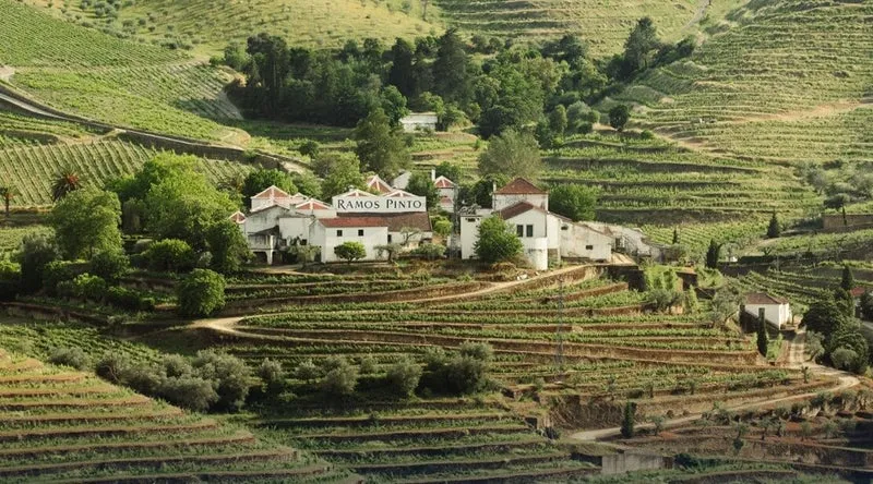 Porto Quinta de Ervamoira 10 ans - Non millésimé - Domaine Ramos Pintos