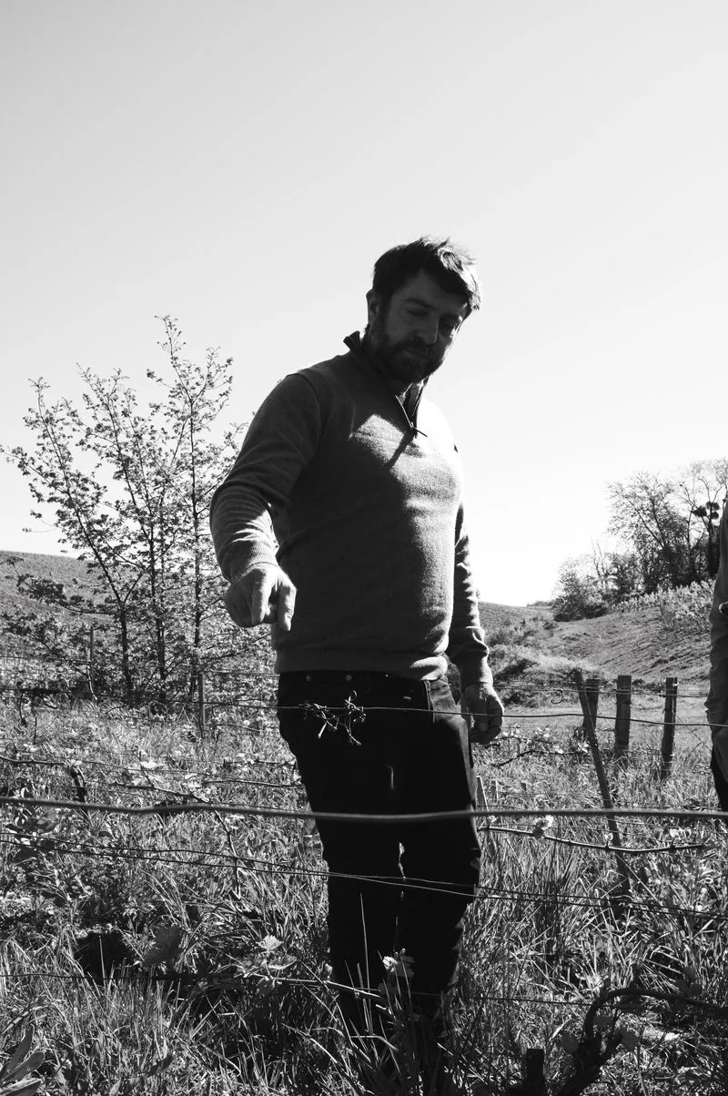 Dégustation avec Thomas Pico - Domaine Pattes Loup