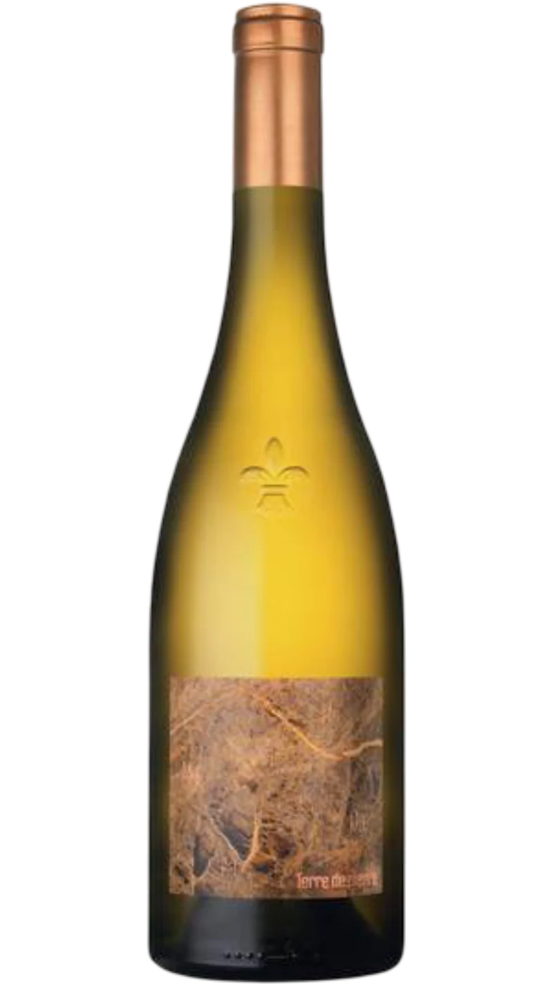 Muscadet Sèvre et Maine - Terre de Pierre - 2024 - Domaine Luneau-Papin