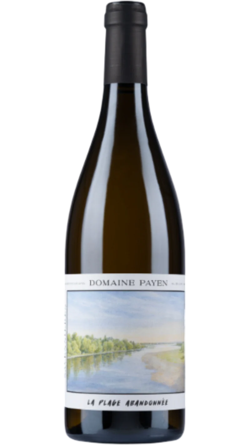 Savennières La Plage Abandonnée - 2023 - Domaine Payen