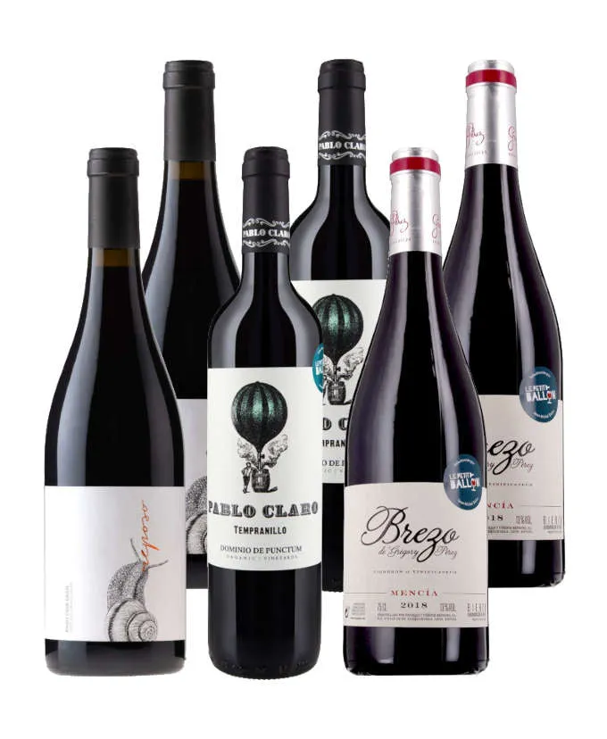 Espagne 100% rouges - 6 bouteilles - Rouge