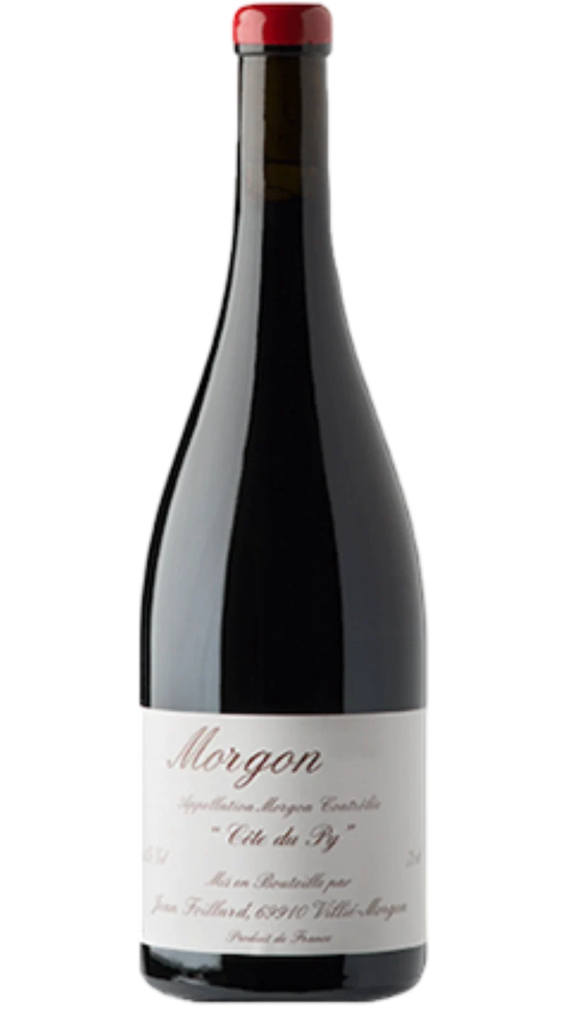 Magnum Morgon Côte du Py - 2023 - Domaine Jean Foillard