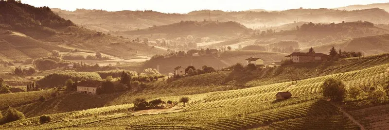 Langhe Doc Freisa - 2024 - G.D. Vajra