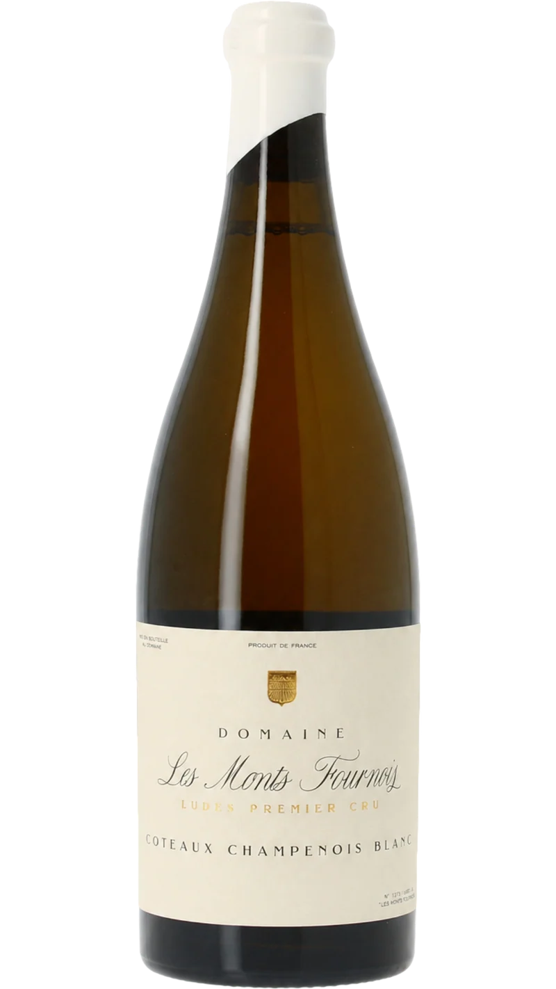 Coteaux Champenois 1er cru Ludes - 2023 - Les Monts Fournois