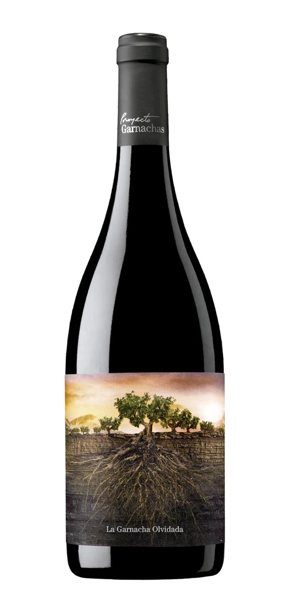 Proyecto Garnachas - DO Calatayud - Rouge - 2016