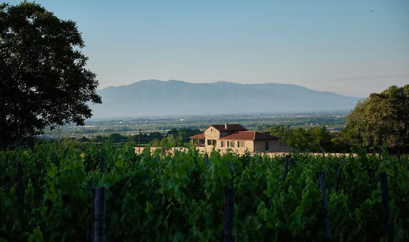 Naoussa Aftorizo - 2020 - Thymiopoulos Vineyards