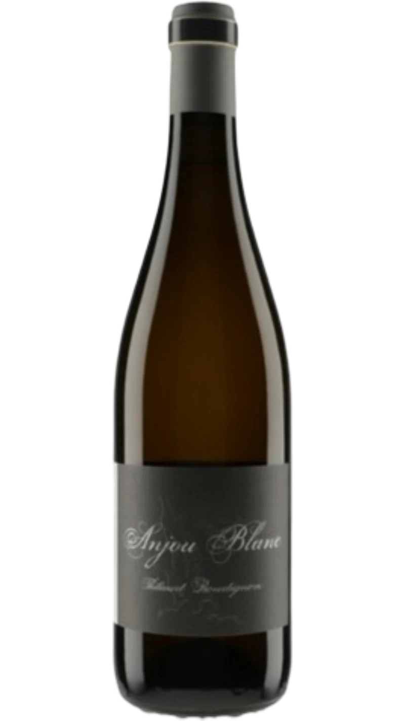 Anjou - 2023 - Domaine Thibaud Boudignon