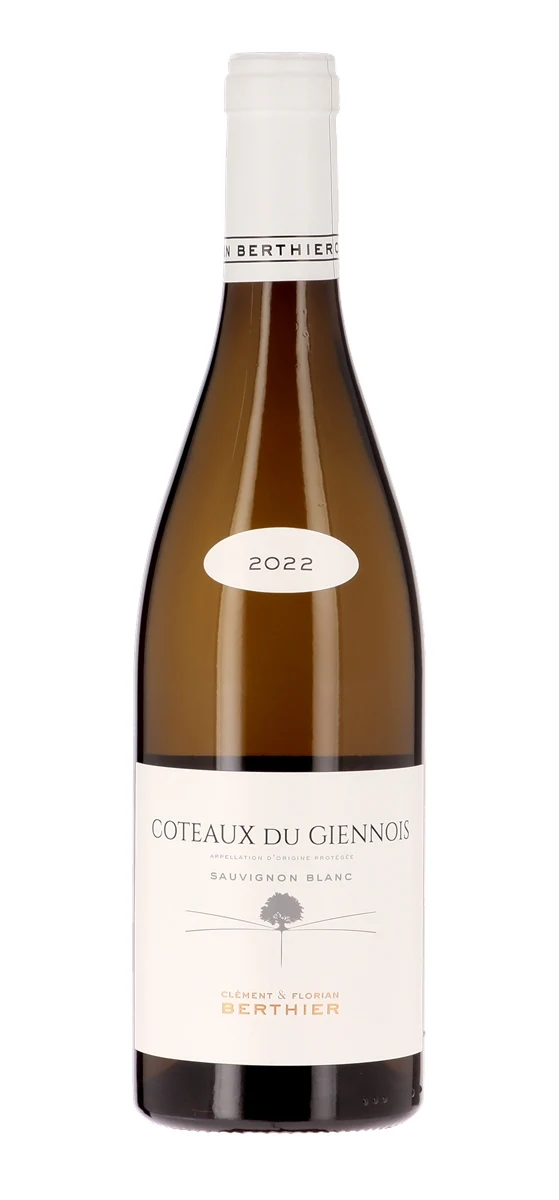 Clément et Florian Berthier - AOP Coteaux-du-Giennois - Blanc - 2022