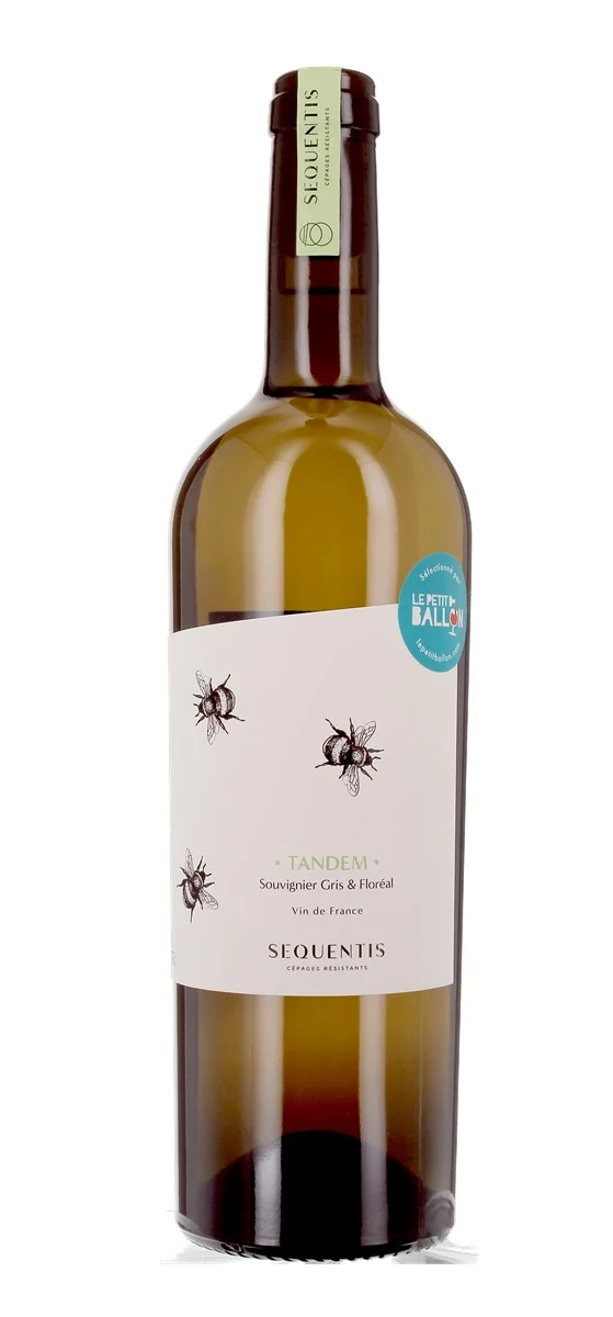 Sequentis - Vin de France - Blanc - 2022