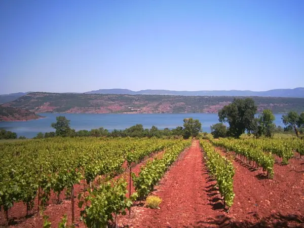 Vin de Pays d'Hérault Coteaux du Salagou - 2023 - Oratoire Saint Jean d'Aureilhan