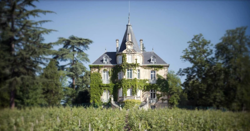 Pessac-Léognan - 2019 - Château Les Carmes Haut-Brion