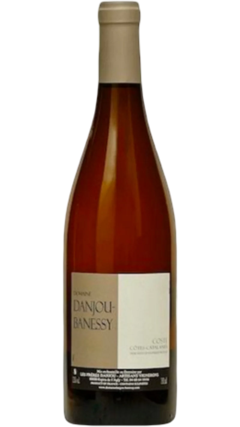 Côtes Catalanes Coste - 2024 - Domaine Danjou-Banessy