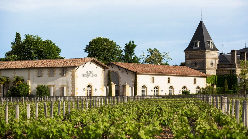 Bordeaux blanc - 2020 - Château Tronquoy-Lalande