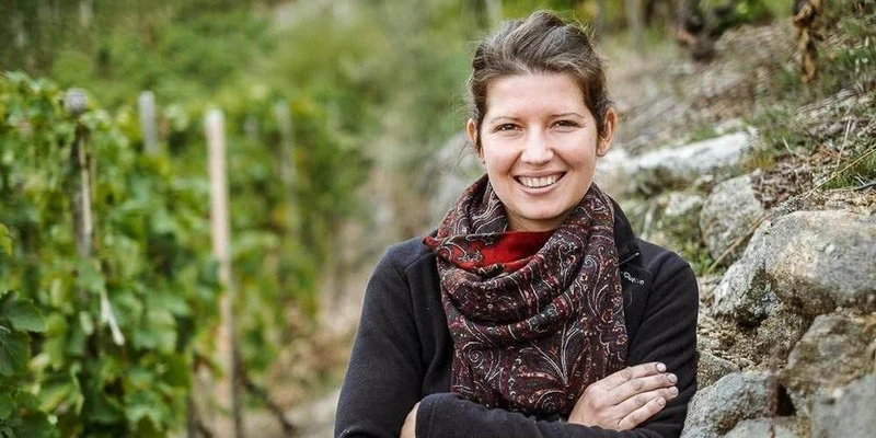 Cornas Terres Brulées - 2016 - Domaine Jean-Luc Colombo