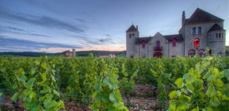 Clos-Vougeot Grand Cru Vieilles Vignes Centenaires - 2015 - Château de la Tour