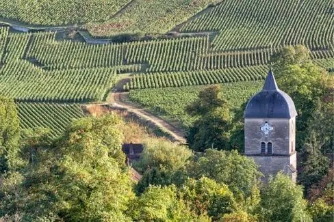 Clos du Clocher - Pomerol - 2006 - Clos du Clocher